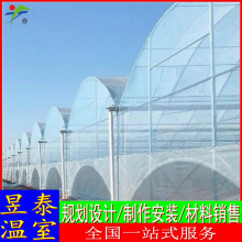 昱泰 智能拱形薄膜连栋温室 育苗蔬菜大棚 YTWSGX2042