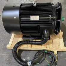 销售英格索兰电机99295065 250kw空压机电机总成IY2-3554-4