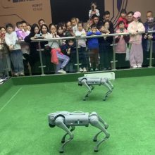 智能机器狗出租 宇树机器人电子狗展会跳舞表演