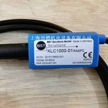 BST̽KLC100001 RS/RASP2 ȼ 