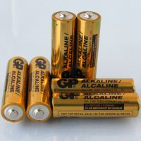 智能锁专用电池 GP超霸 5号碱性电池 AA LR6