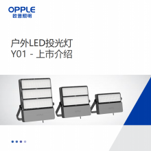 OPPLEŷY01  Y01 Pro 汾50W70W100W150W200W250W300W