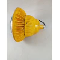 RLEEXL608-100WֳʽLED