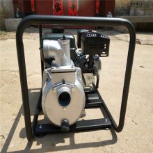 汽油微型水泵 汽油高压抽水泵 家用小型管道泵新颖***