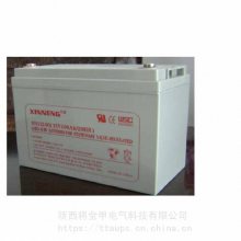 SN12100XINNENGǦ12V100