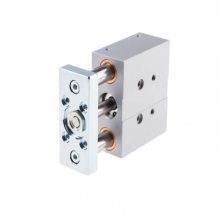 FESTO˹  DFM-25-25-30-40-100-P-A-GF