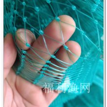 湖南福利渔网,尼龙渔网聚乙烯有结鱼网厂家批发