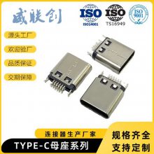 ̽ TYPE Cĸ ʽƬ USB 3.1ĸ 180ֱʽ L=10.5 24Pʽ