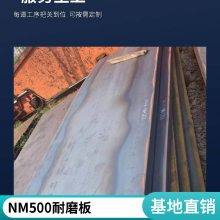 ĥְ NM600 NM450 ʱظֲ