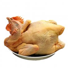 ֮¡ϼζͼ Զ Ƽ 22kg/㶫Զȫ