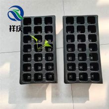 种植基地育苗穴盘 白菜育苗盘 生菜穴盘 河北祥庆