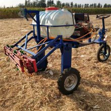 以热诚扎根一线 用科技润泽棉田