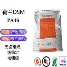 PA46˹ Stanyl TS300 DSM