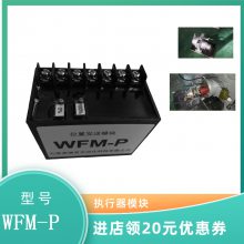 DKJ-M普通型 电动执行器控制模块 WF-130M