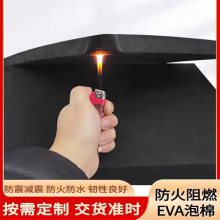 ɫEVAƬ ȼ޵ ͶƷ