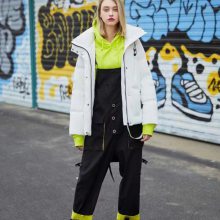 �����������޷����β����Ӧ�� ʥ�����޷������߷�һ�ֻ�Դ