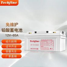 Techfine̩UD12V-4AH7AH9AH12AH17AH24AH38AH65AH100AHҹӦ