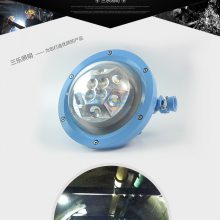 ú糧- DGS48/127LC DGS45/127L(D)