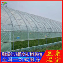 昱泰温室 薄膜蔬菜大棚 春秋简易拱棚冷棚 YTWSCQ2041