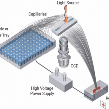 Agilent ZAG DNA ϵͳ DNA Ƭηеƿ