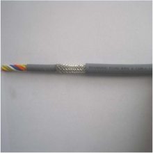 ׳LIYCY|LIYCYTP)|CEpg| W(bio)|