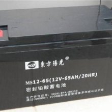 MS12-100 12V100AH/20HRʽǦUPSӦ