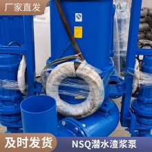 立式高压潜水渣浆泵 供应NSQ100-18-15抽沙泵 焦化厂洗沙污泥泵 英科