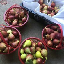 ޻硢ɫ޻硢ɫ޻
