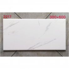 300x600ɽǽש