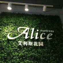 �ȼ�����ϲݷ����̻��������Ʊڹ�����ֲ��ٻ��ݱ���ǽ������ֲ