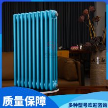 󹤳סլ¥ñڹʽ͸¼Ӵֽʽ ֹȡůƬ GZ306