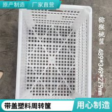 定制 红色塑料置物篮长方形手提水果筐周转筐