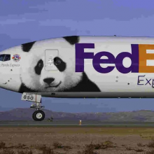 ɶFedExDHLUPS¬ɭ ˿˿