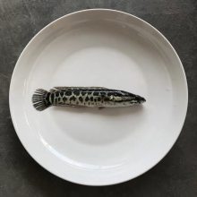 ѡ Ϻ Զˮ繩Ӧ ȫ½