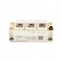 ¹ſIGBTģSKM400GA12T4/12V/123D/128D