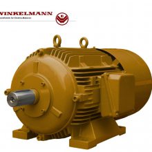 WINKELMANNáWINKELMANN늙CGNFZE 250L/4 / 30 kW