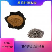 葵花籽提取物 速溶粉 10：1 20：1高比例萃取粉 浓缩干燥 可定制