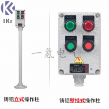 220V380V防爆防腐操作柱LBZ控制箱三防工程塑料按钮盒 三相电流立柱式挂式