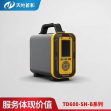 手提复合式恶臭气体分析仪TD600-SH-B-M10臭气9参数检测仪