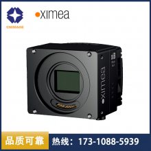 XIMEA PCIe߷ֱCB024MG-GP-X8G3/CB024CG-GP-X8G3