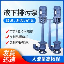 YW液下排污泵不锈钢防爆耐腐蚀液下泵50YW10-10-0.75