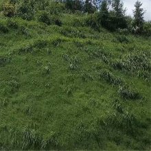 ͺرֲ̻ ɽˮ罬 ɽ̻粥