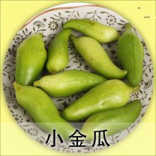 高原食材 小金瓜 泡沫箱1.5公斤 净重2斤 酒店 餐馆 家庭 一件代发