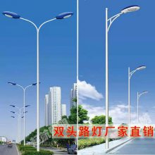 220V道路灯价格LED模组超亮锥形圆管镀锌户外亮化工程货源充足