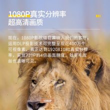 ͼ루OptomaHD290 ͶӰǼø1080P3DͶӰ  1080P