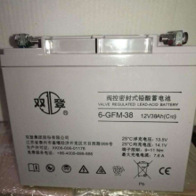 2v1000AH˫GFM-1000 վ Ȩ ֱ