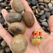 变压器5-8公分鹅卵石，水处里鹅卵石河卵石滤料，南沙区雨花石供应商家