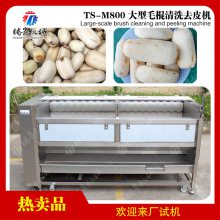 大姜新姜毛辊去皮清洗机TS-M800 土豆山药清洗去皮机价格 TS-M800大型毛棍清洗去
