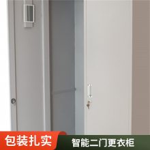 现代简约两层二门更衣柜 防火防磁置物柜 家庭用钢制铁皮柜