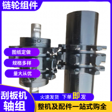 135/06LLX1链轮组件 刮板机头部驱动轴组 42CrMo锻打传动齿轮总成